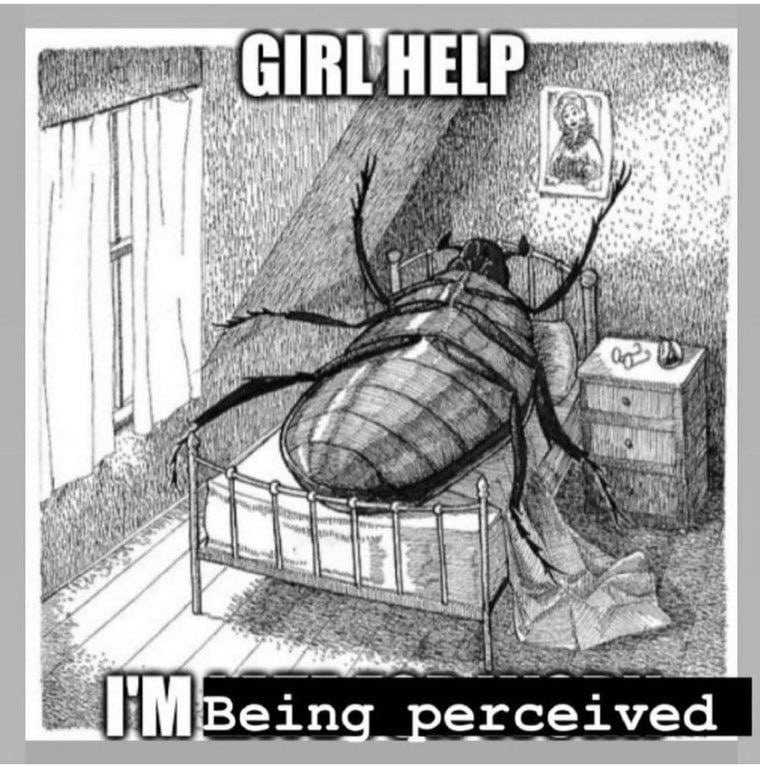 A black-and-white meme with the image of Gregor Samsa from Kafka's 'Metemorphosis' with top text reading: 'GIRL HELP' and the bottom text reading: 'IM being perceived'